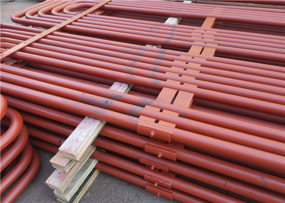 Bare Tubes Alloy Material Serpentine Tube For Boiler Pressure Parts