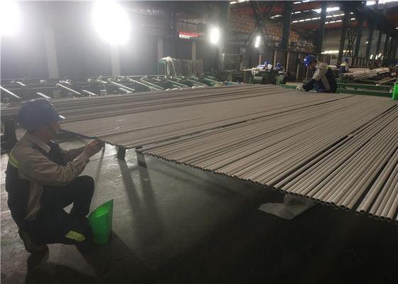OD 6mm ASTM 269 TP317 Seamless Stainless Tube