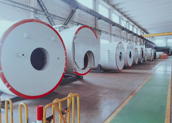 1.1mpa Horizontal  Propane Natural Gas Fired Combination Boiler
